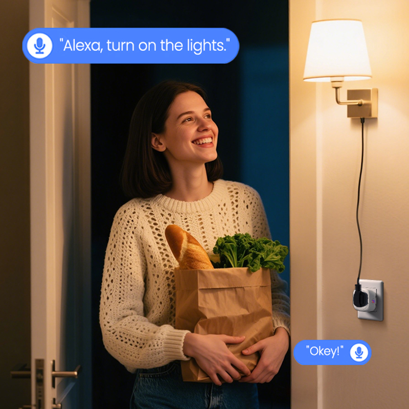 Tuya South Africa Plug 16A/20A - Smart Plug Zigbee 16A ulasan dan harga